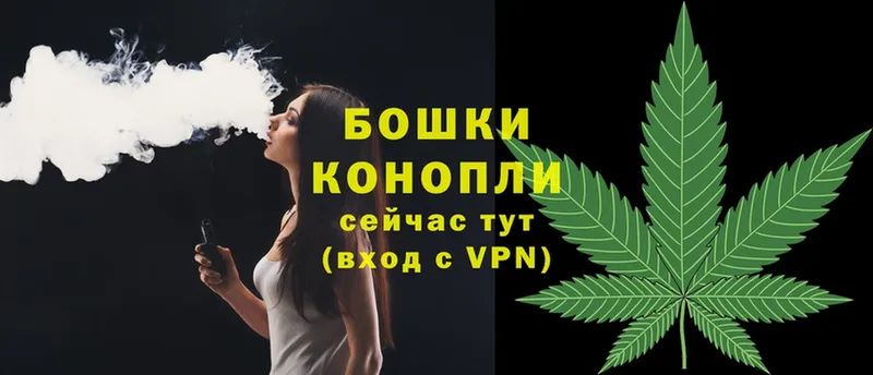 MEGA вход  купить наркотики сайты  Каргополь  Марихуана SATIVA & INDICA 